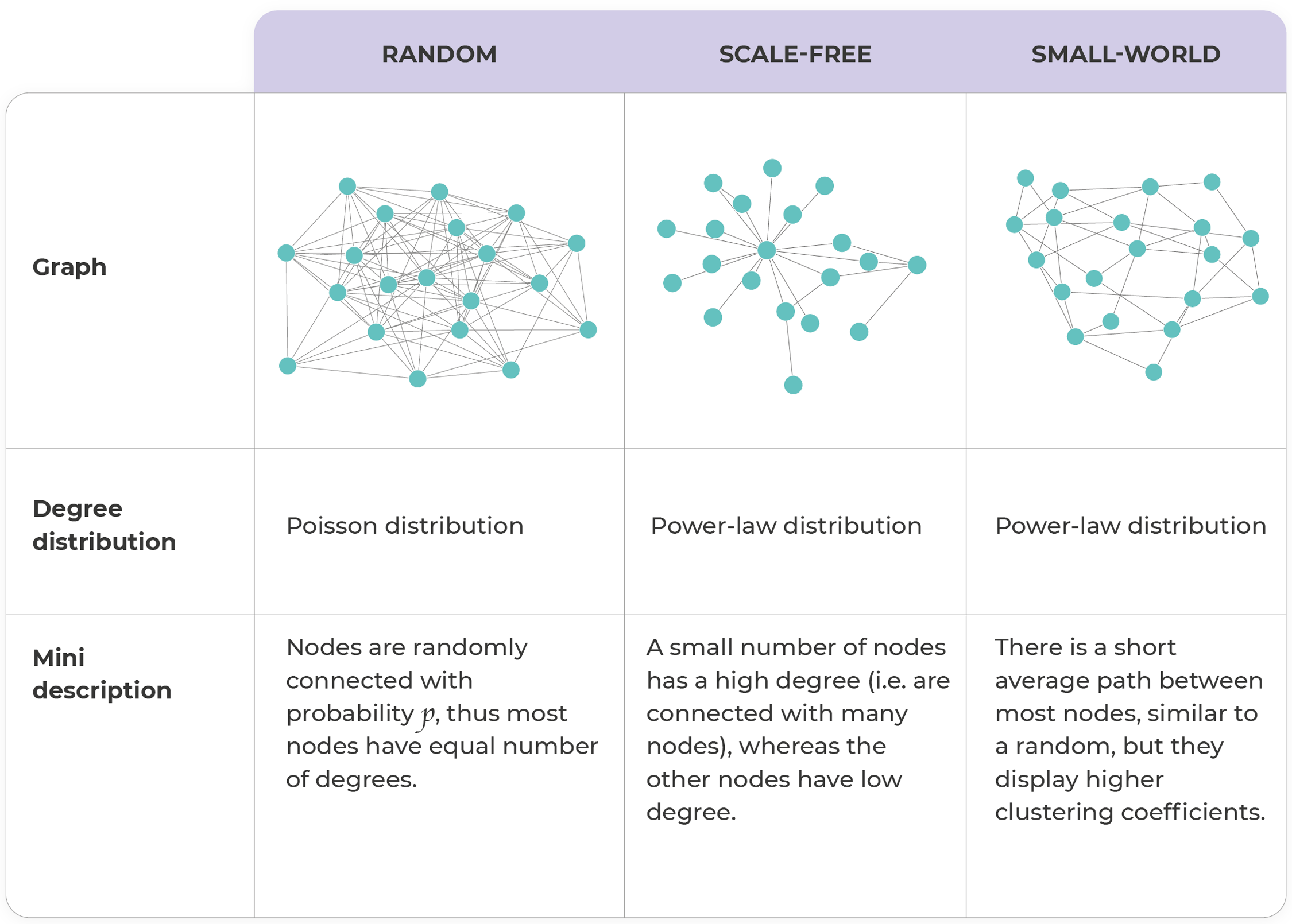 3 type network